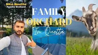 Best Family Picnic Place in Quetta! 🐐🍎 Full Tour + Relaxing Vibes. @DHAQuetta @epicquettashort