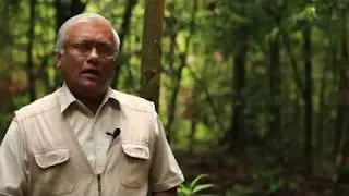 Conserving biodiversity in Sri Lanka: Nimal Gunatilleke
