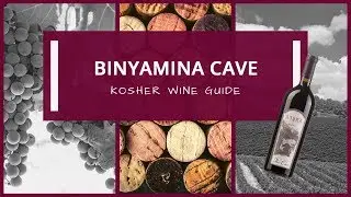 Binyamina Cave | Kosher Wine Guide