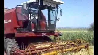 Gloria C14 la treierat ovaz-2012 (Raucesti Neamt)