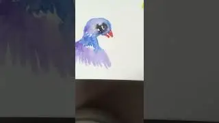Bird watercolour #painting #colorfulmixing #watercolorpainting #colourmixingtutorials #art #drawing
