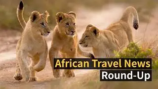 African Travel News Recap - July 2018