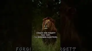 🦁 Lion attitude l Lion attitude quotes l Lion attitude status l lion attitude motivational video 🦁