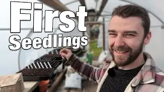 First Allotment Seedlings | New Greenhouse Floor!