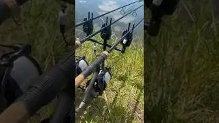 AMAZING CARP RUN😍🔥
