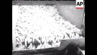 SOVIET FARMING - TALKS - NO SOUND