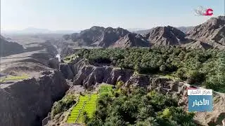 بث مباشر | نشرة أخبار الحادية عشرة صباحا
