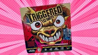 Triggered 500 gram cake from Sky King Fireworks