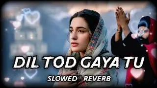 Dil Tod Gaya Tu ( Slowed + Reverb ) Lofi Song || Hindi Bollywood Slowed Song 