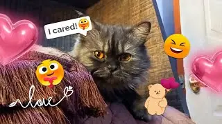 SMALL DUCK TOY IN HOUSE🏠😍 *PART 1* 👀 || @coco.rosette ❤️