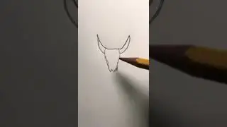 How to draw a animal skull
