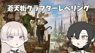 【FF14】多キャラ蒼天街復興クラフターレベリング