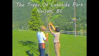 The Trees of Lakeside Park | Nelson BC Nature & History