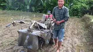 Direct seeding of rice in terraced rice fields. #directseeding