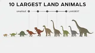 10 Largest Land Animals to Ever Walk the Earth