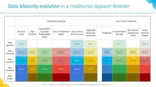 The Data & Intelligence Maturity Model - A Verbatim Introduction