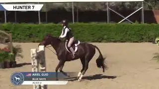 Blue Note-Medium Pony 
