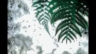 2 Hours Heavy Rain Forest Canopy Sounds For Sleeping