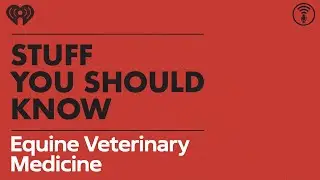 The Largely Equine History of Veterinary Medicine | STUFF YOU SHOULD KNOW