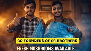 Mushroom 🍄 Harvest | oyster | fresh mushrooms available per best price 😀| GG brothers mushroom farm