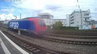 Br 482 durchf&auml;hrt den Bahnhof Schwetzingen