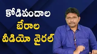 Andhra incident video viral కోడిపందాల బేరాల వీడియో వైరల్