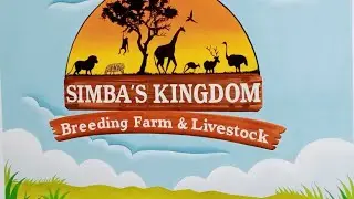 🐯SIMBA'S KINGDOM..🦁