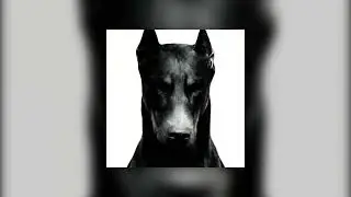 SRXPH - DOBERMAN HARDTEKK (Super Sped Up)