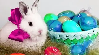 Happy Easter 2021