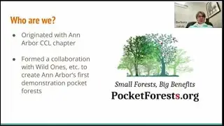 Updates on Pocket Forests
