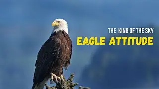 MAN TO EAGLE | EAGLE  ATTITUDE | BEST MOTIVATIONALVIDEO IN ENGLISH || SUCCESS FUSION