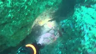 NYE SWS Dive 2015