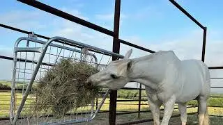 Hanging hay rack