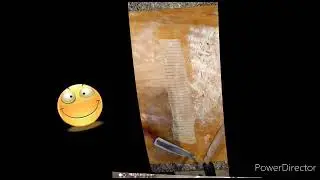 PASTA ALL'UOVO SENZA GLUTINE, con farina di riso e grano saraceno