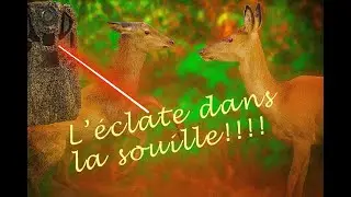 C'est l'éclate entre bambi et sa maman à la souille!