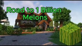 Hypixel Skyblock Road to 1 Billion Melons  #melon #skyblock
