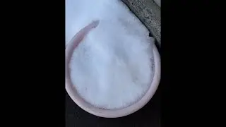 また大雪🌨️来るか〜
