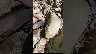 Real vs. Fake Gold Prospecting: Exposing Staged Claims#GoldProspecting #FakeGold
