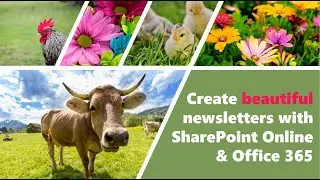 Create beautiful newsletters with SharePoint Online and Office365