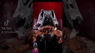 Bone-Shattering Carnivores