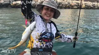 Catching hamour on Kayak fishing