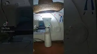 singer al style