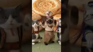 dance cartoon animal#youtube #trending #viral😱 😀😂