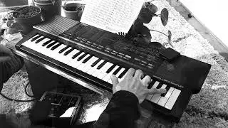 Quinta plays The Unquestioned Answer by Laurie Spiegel