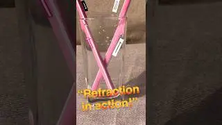 Reverse Reality with Refraction In This Easy Sciences Experiment | Refraction |Viral Short