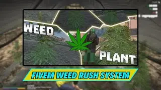 Fivem Weed Rush System | FiveM Scripts Store | FiveM Mods
