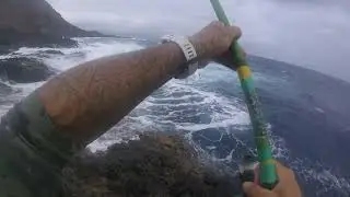 600:💯💯💯💯💯💯Videos📽 Pez🐟 Rey👑cuantos momentazos‼‼👌🎣😄🤙
