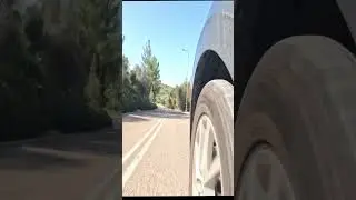 relaxing drive through nature/roads & forests