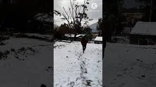 Snowfall 🌨️ #snowfall #snowfallsounds #youtube #viral #vlog #shorts #newediting #snowhite #snowplus
