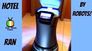 Hotel robot delivery service